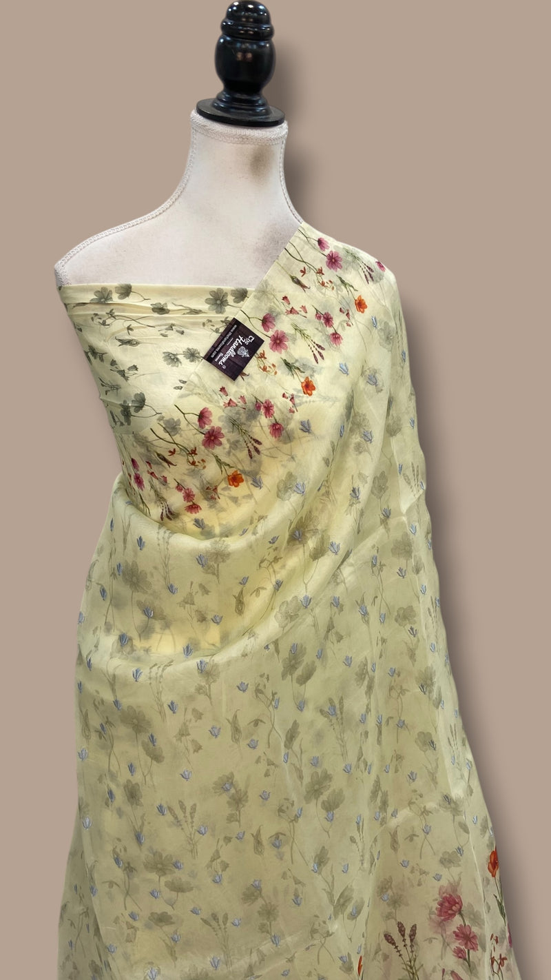 Pure Organza Digital Print with Chikankari Handloom Banarasi Saree - The Handlooms