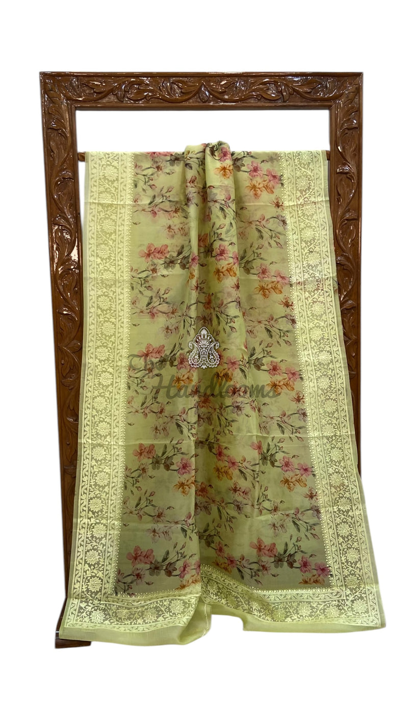 Pure Organza Digital Print With Chikankari Handloom Banarasi Saree - The Handlooms