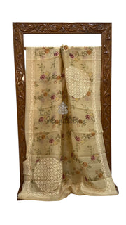 Pure Organza Digital Print With Chikankari Handloom Banarasi Saree - The Handlooms