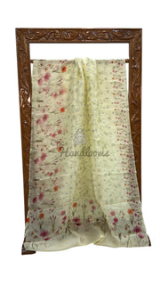 Pure Organza Digital Print with Chikankari Handloom Banarasi Saree - The Handlooms