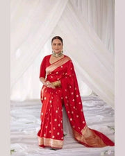 Sonakshi Sinha Pure Katan Silk Banarasi Handloom Saree - All Over Motifs - The Handlooms