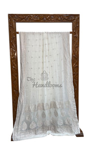 Pure Georgette Banarasi Handloom Saree - Silver Zari - The Handlooms