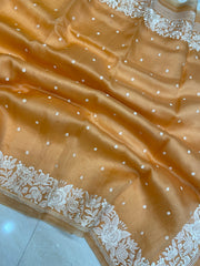 Pure Organza Chikankari Handloom Banarasi Saree - The Handlooms