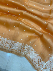 Pure Organza Chikankari Handloom Banarasi Saree - The Handlooms