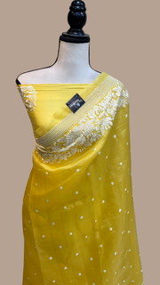 Pure Organza Chikankari Handloom Banarasi Saree - The Handlooms