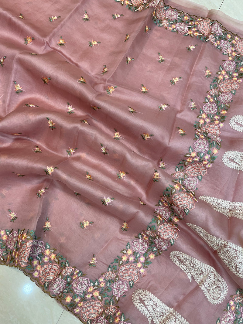 Pure Organza Chikankari Handloom Banarasi Saree - The Handlooms