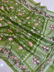 Pure Organza Chikankari Handloom Banarasi Saree - The Handlooms