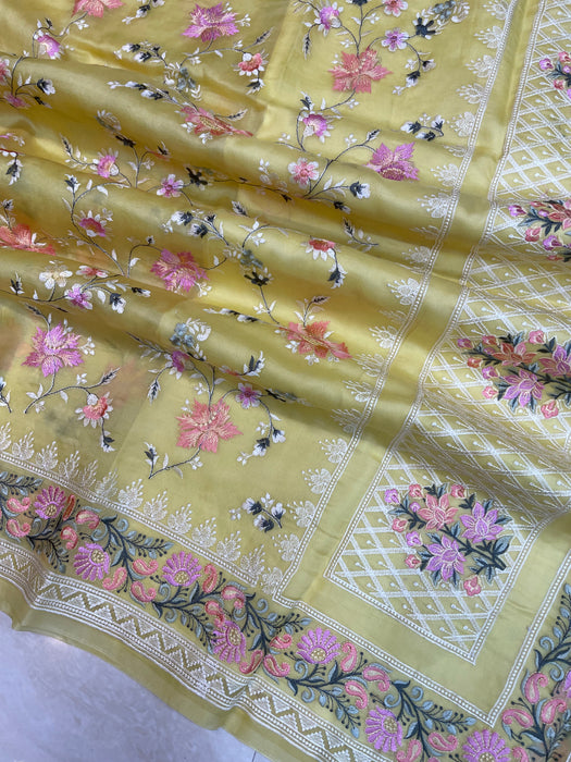 Pure Organza Chikankari Handloom Banarasi Saree - The Handlooms