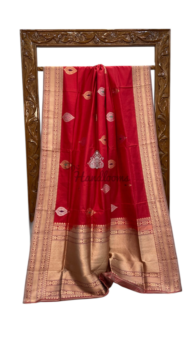 Pure Katan Silk Banarasi Handloom Saree - All Over Kadua Motifs - The Handlooms