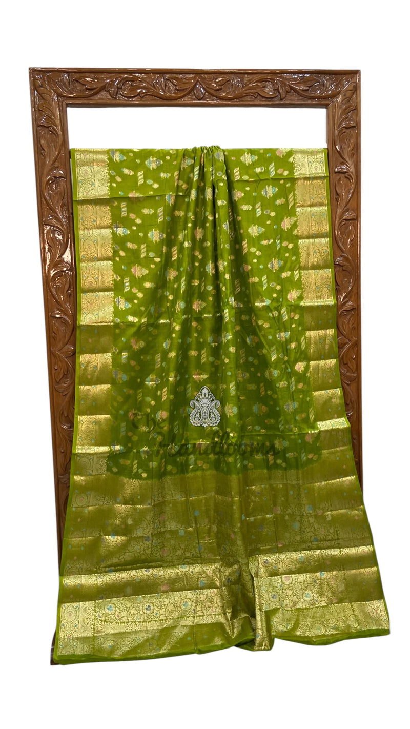 Pure Tussar Silk Handloom Banarasi Saree - Meenakari