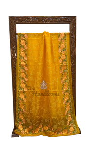 Pure Organza Chikankari Handloom Banarasi Saree - The Handlooms