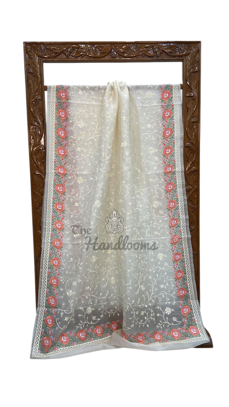 Pure Organza Chikankari Handloom Banarasi Saree - The Handlooms