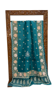 Pure Organza Chikankari Handloom Banarasi Saree - The Handlooms