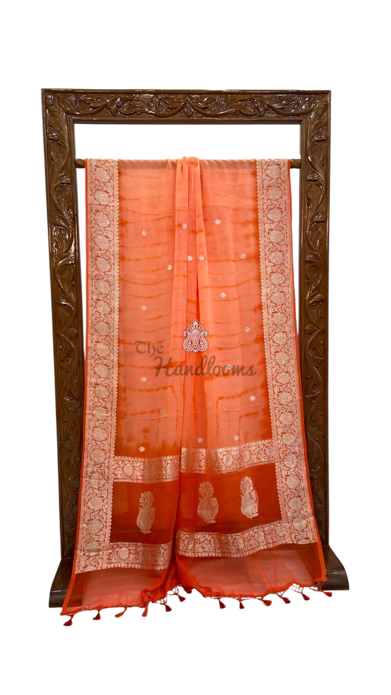 Pure Georgette Handloom Banarasi Saree - Silver Zari