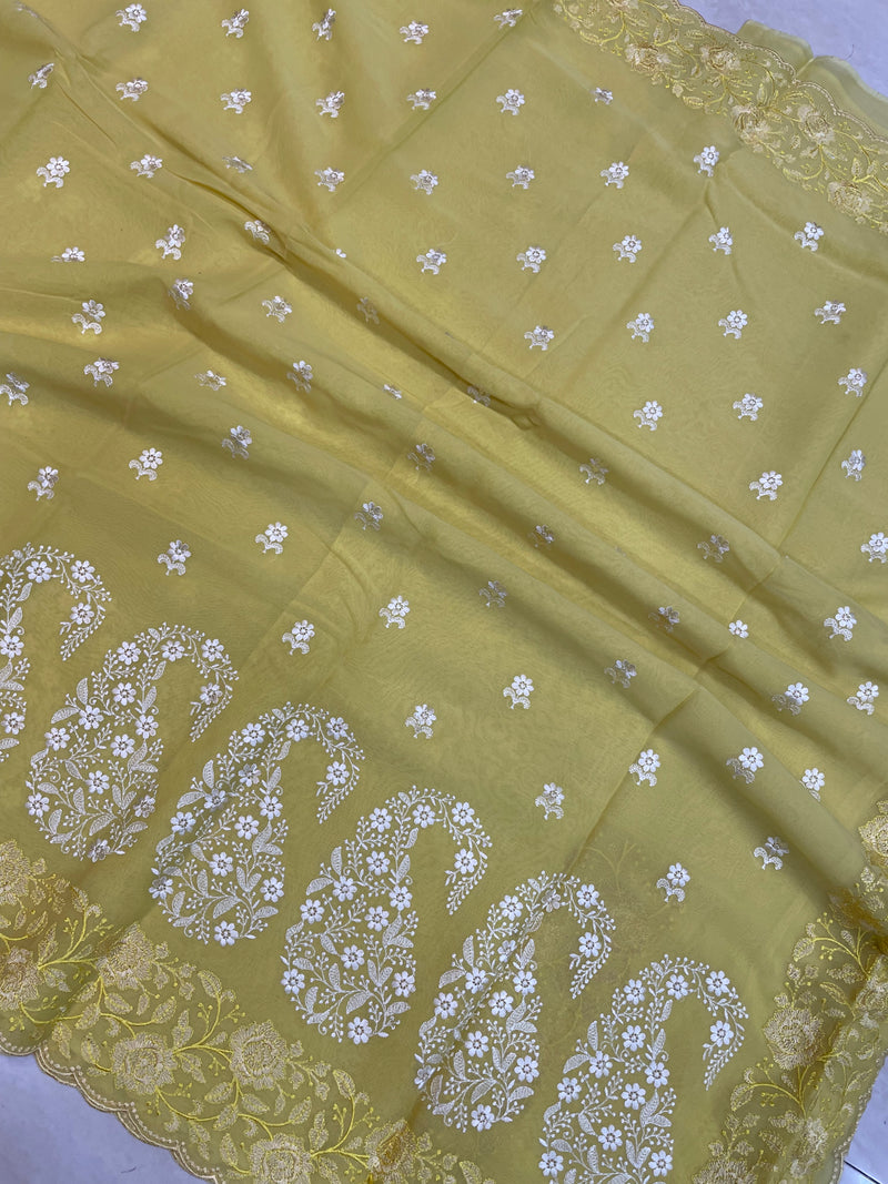 Pure Georgette Chikankari Handloom Banarasi Saree - The Handlooms