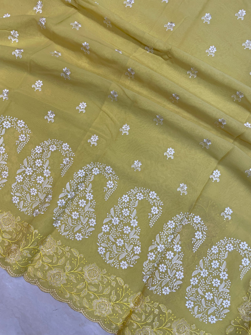 Pure Georgette Chikankari Handloom Banarasi Saree - The Handlooms