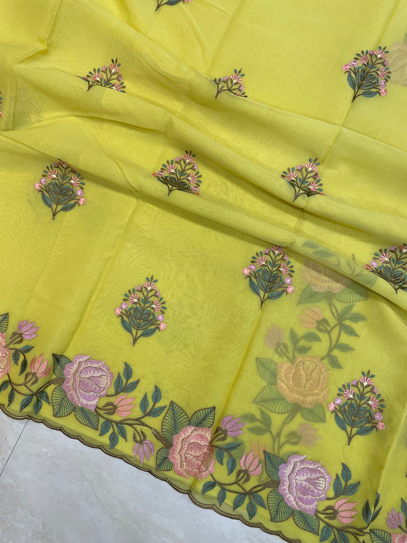 Pure Georgette Chikankari Handloom Banarasi Saree - The Handlooms