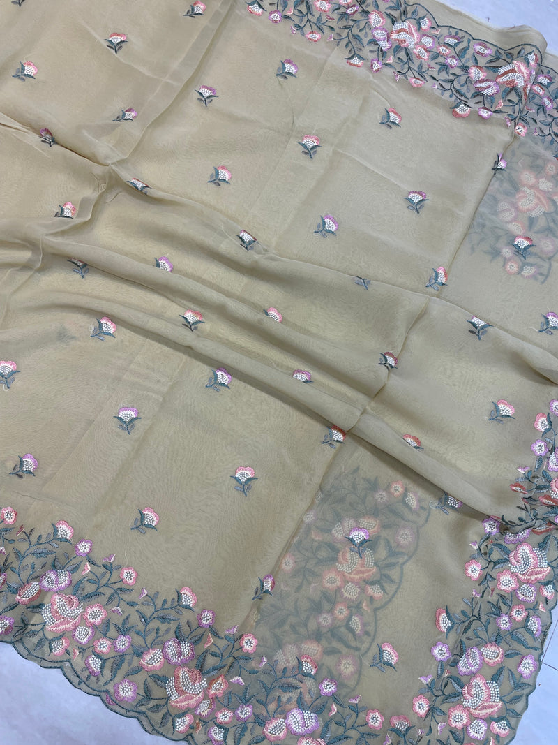 Pure Georgette Chikankari Handloom Banarasi Saree - The Handlooms