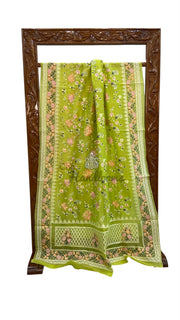 Pure Organza Chikankari Handloom Banarasi Saree - The Handlooms