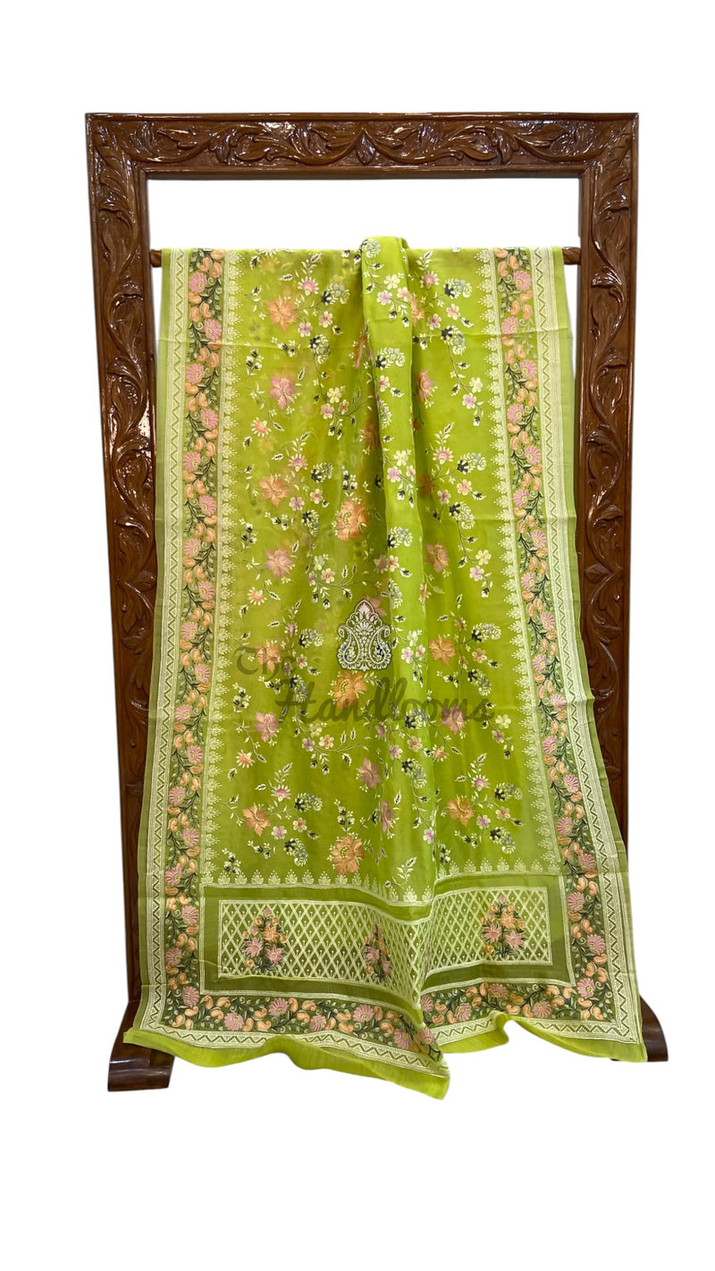 Pure Organza Chikankari Handloom Banarasi Saree - The Handlooms