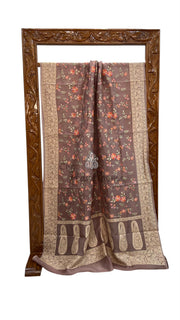 Pure Organza Chikankari Handloom Banarasi Saree - The Handlooms