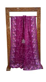 Pure Organza Chikankari Handloom Banarasi Saree - The Handlooms