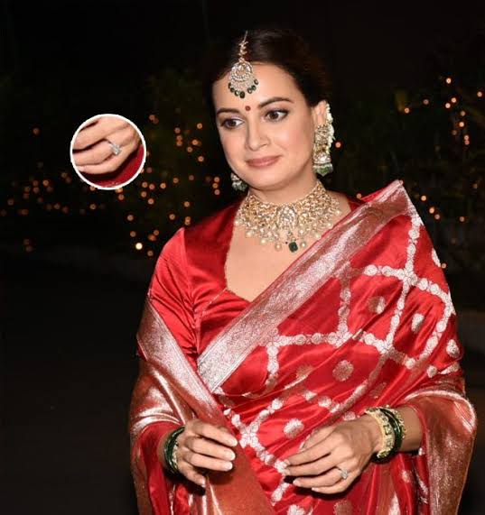 Dia Mirza in Pure Katan Silk Banarasi Handloom Saree - The Handlooms
