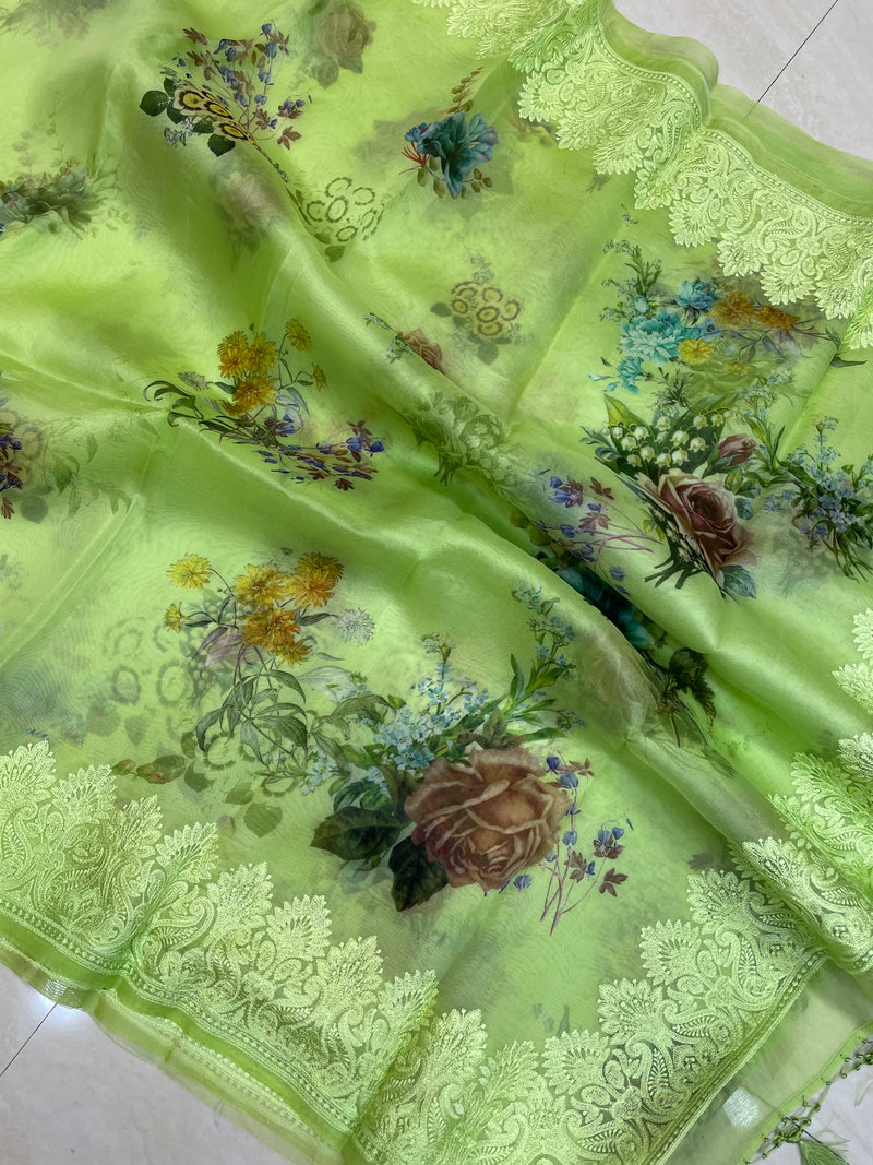 Pure Organza Chikankari Handloom Banarasi Saree with digital print - The Handlooms