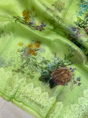 Pure Organza Chikankari Handloom Banarasi Saree with digital print - The Handlooms