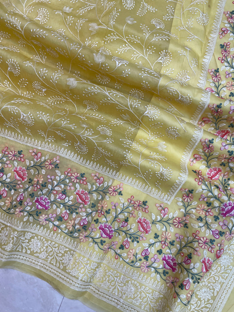 Pure organza Chikankari Handloom Banarasi Saree - The Handlooms