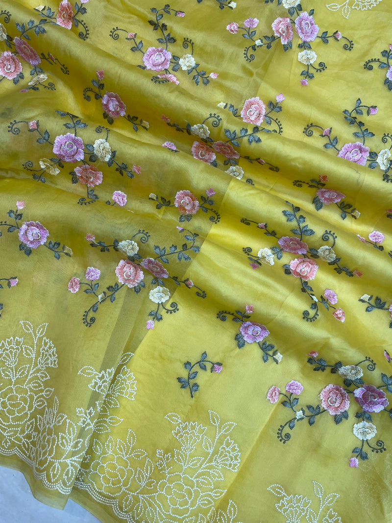 Pure organza Chikankari Handloom Banarasi Saree - The Handlooms