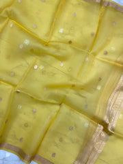 Pure kora Banarasi Handloom Dupatta - The Handlooms