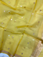 Pure kora Banarasi Handloom Dupatta - The Handlooms