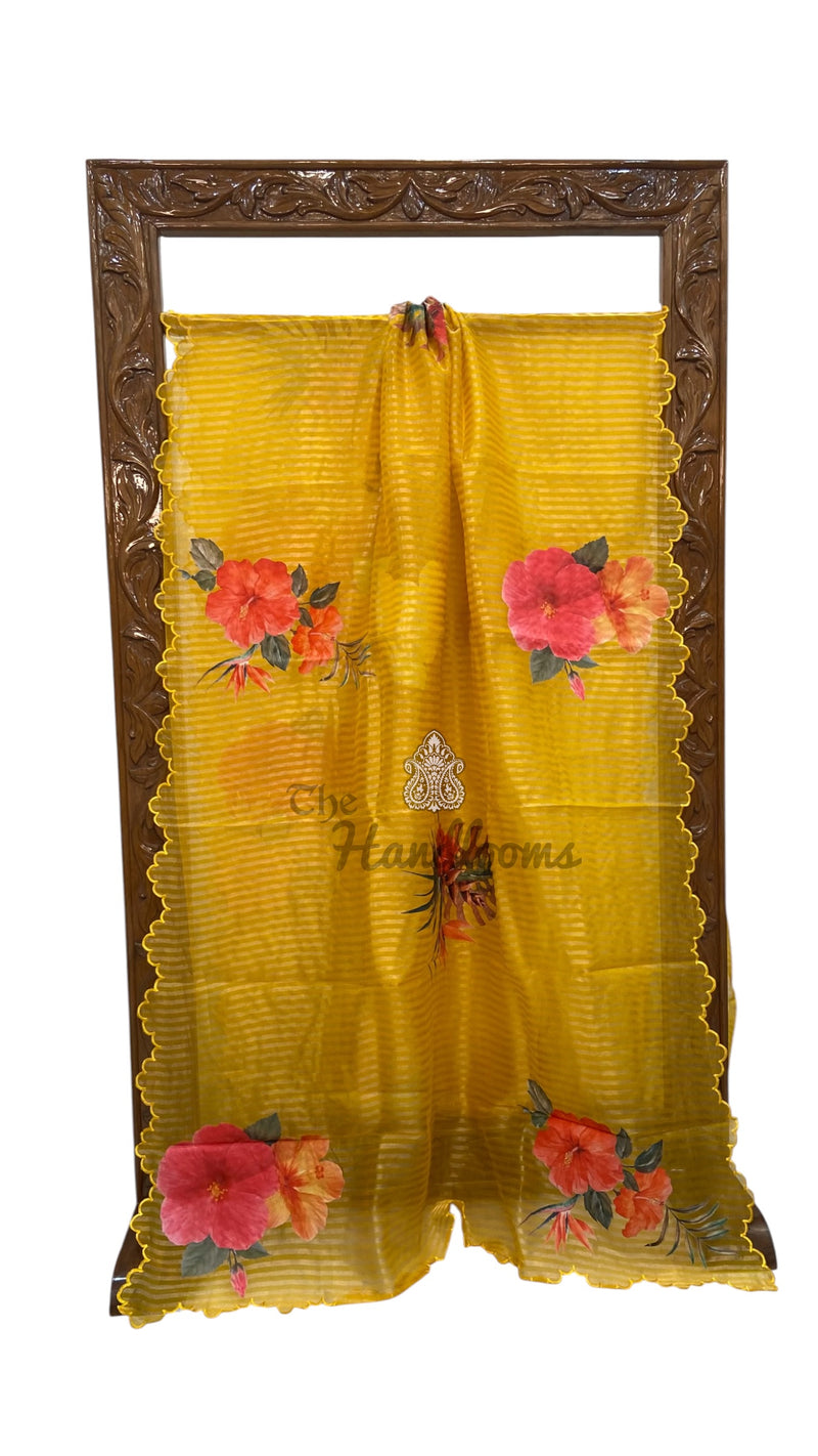 Pure Kora Tissue Silk Handloom Banarasi Saree - Print