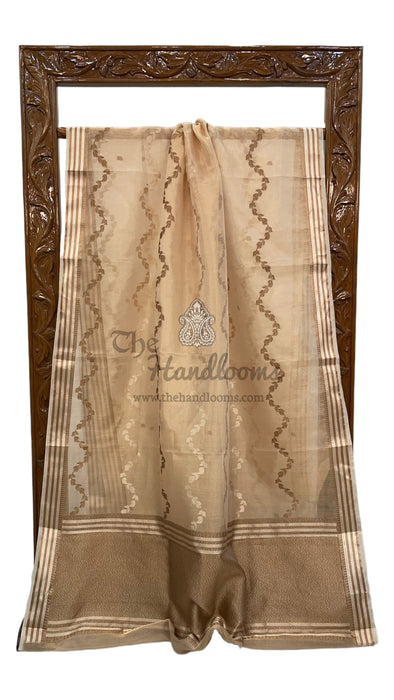 Pure Kora Tissue Handloom Banarasi Saree