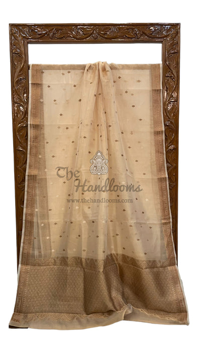 Pure Kora Tissue Handloom Banarasi Saree