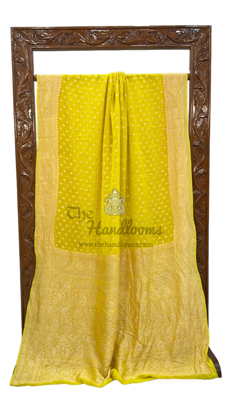 Pure Khaddi Georgette Banarasi Saree -  Gold zari - The Handlooms
