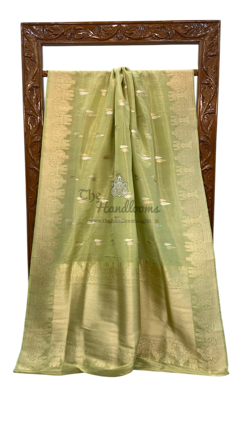 Pure Katan Tissue Silk Handloom Banarasi Saree - All over kadua motifs - The Handlooms