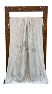 Pure Georgette Banarasi Saree - silver zari - The Handlooms