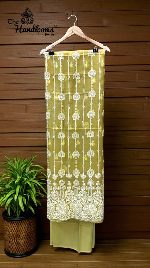 Pure Organza Chikankari Handloom Banarasi Dress - The Handlooms