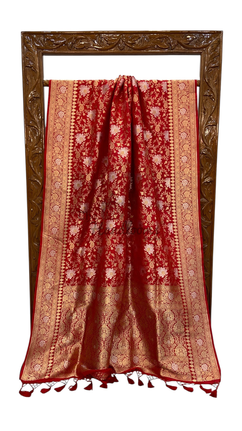 Pure Katan Silk Banarasi Handloom Saree - All Over Sona Roopa Jaal Work - The Handlooms