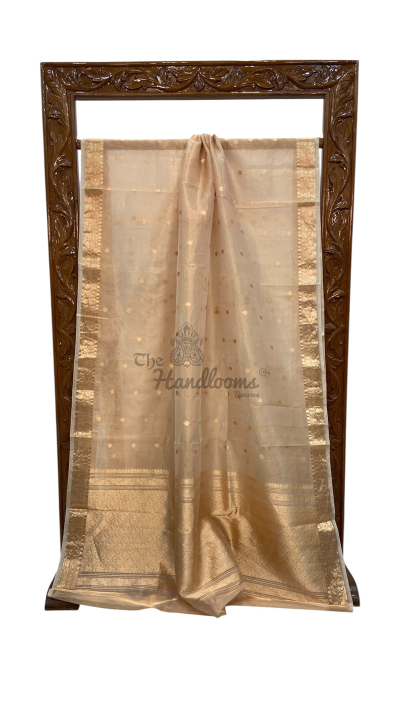 Pure Kora Tissue Handloom Banarasi Saree - The Handlooms