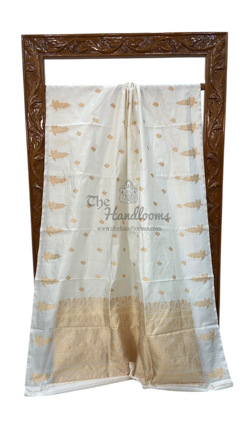 White Pure Katan Silk Banarasi Handloom Saree - All over Kadua motifs - The Handlooms
