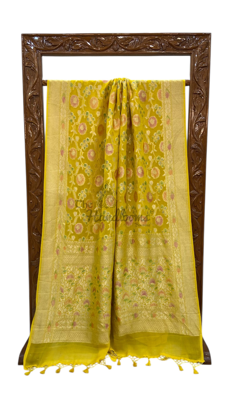 Pure Khaddi Georgette Banarasi Saree - water zari - The Handlooms