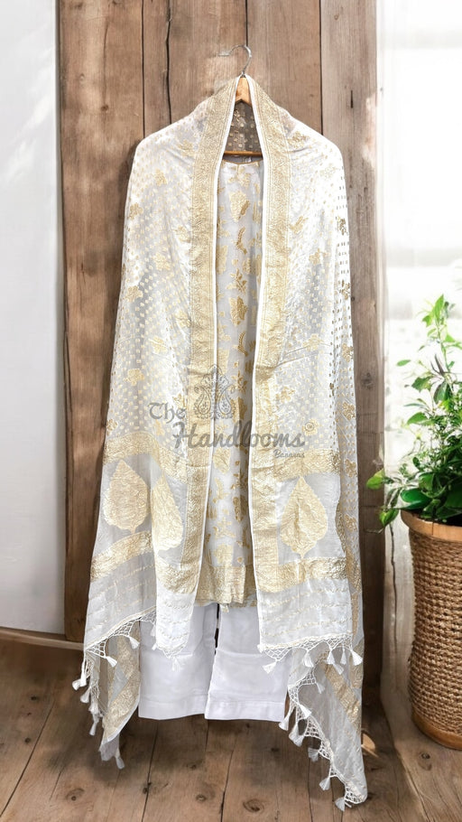 Khaddi Georgette Banarasi Dress material-Stitched - The Handlooms