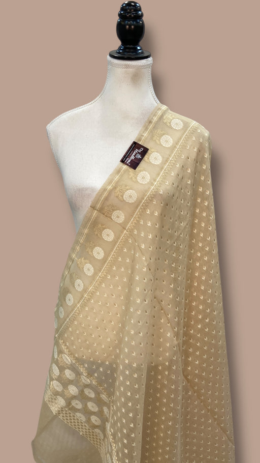 Pure Cotton Banarasi Handloom Dupatta - The Handlooms