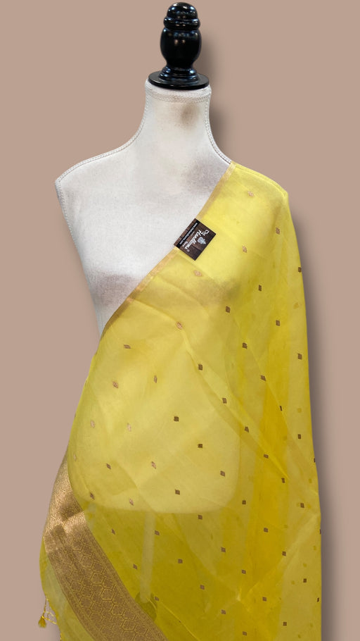 Pure kora Banarasi Handloom Dupatta - The Handlooms