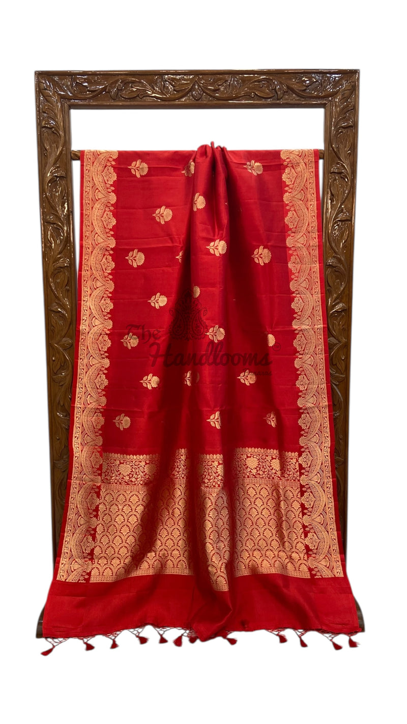 Pure Katan Silk Banarasi Handloom Saree - All over Kadua motifs - The Handlooms