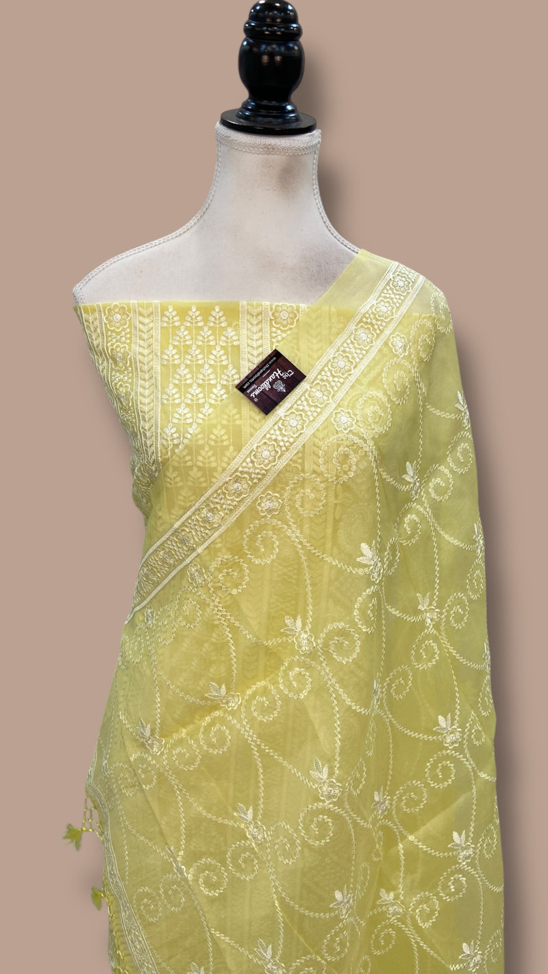 Pure Organza Chikankari Handloom Banarasi Dress Material - The Handlooms