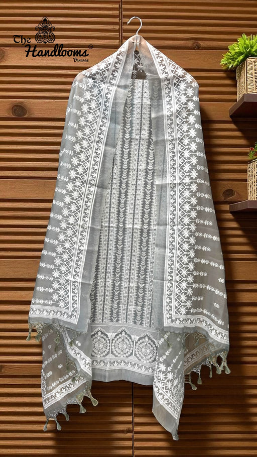 Pure Organza Chikankari Handloom Banarasi Dress - The Handlooms